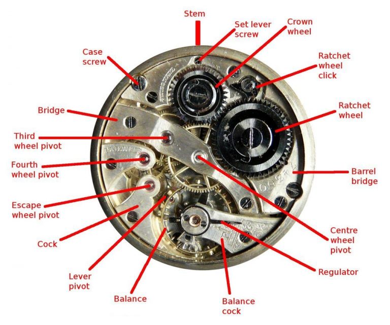 How a Mechanical Watch Works college of learning watches' movements